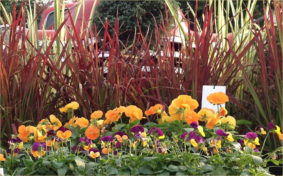 American Turf Garden Center Cleveland